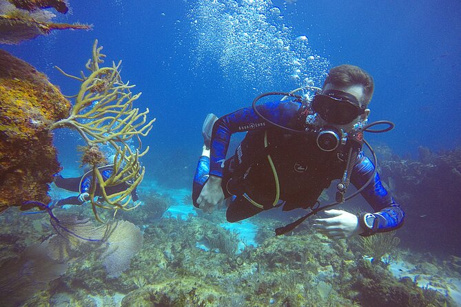 2 Days Class: SDI Open Water Diver Certification in Cancun - Equipment, Tanks, and What You Must Bring