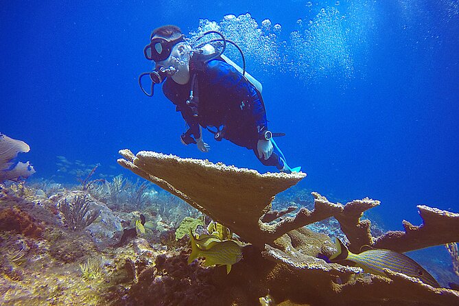 2 Days Class: SDI Open Water Diver Certification in Cancun - Boat Time Tips: Motion Sickness, Timing, and Flying Afterward