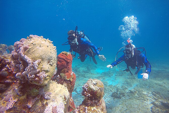 2 Days Class: SDI Open Water Diver Certification in Cancun - Day One Schedule: Pool Skills, Then MUSA and Reef
