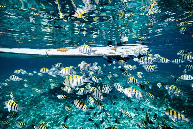 2 in 1 Parasail Cancun and Jet ski - Your Actual Flow: From Playa Tortugas to Back Again