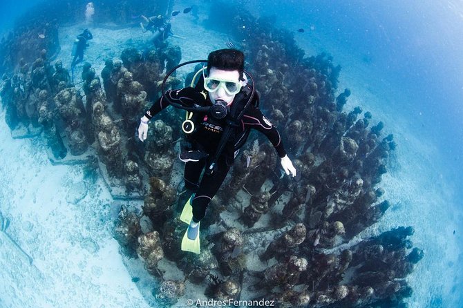 2 Tank Dives MUSA and Manchones reef (Certified divers) - Where MUSA And Manchones Fit Into Your Scuba Day
