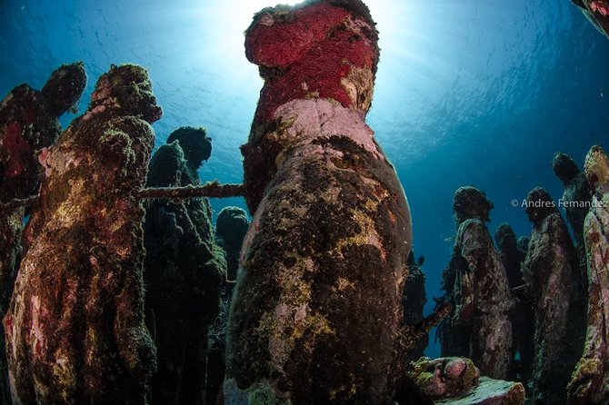 2 Tank Dives MUSA and Manchones reef (Certified divers) - Session One At MUSA: Sculptures Under Caribbean Water