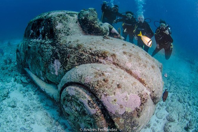 2 Tank Dives MUSA and Manchones reef (Certified divers) - Value Check: Is $167.28 Worth It?