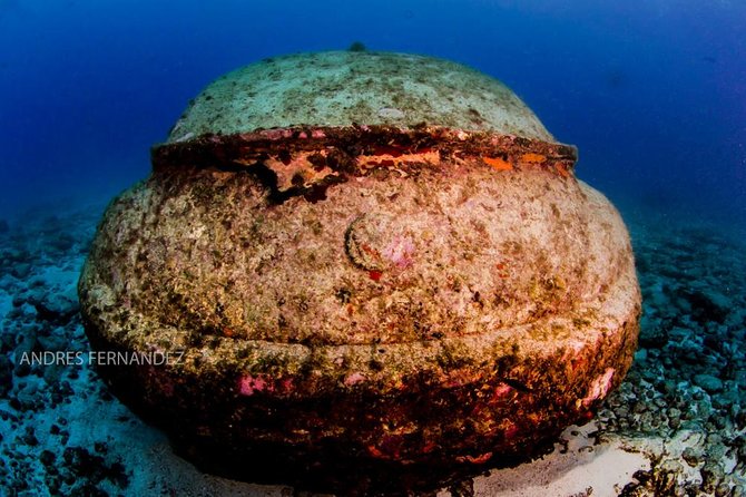 2 Tank Dives MUSA and Manchones reef (Certified divers) - Two Tank Scuba Sessions, What That Means In Practice
