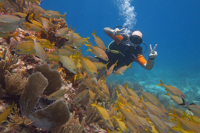 2 Tanks Dives Cancun Underwater Museum for Certified Divers - Safety checks, medical limits, and who should not go