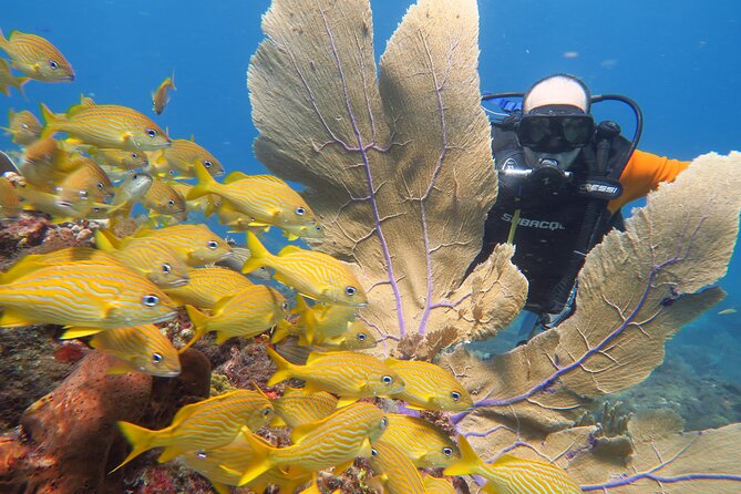 2 Tanks Dives Cancun Underwater Museum for Certified Divers - Boat ride comfort: anti-nausea advice and practical tips
