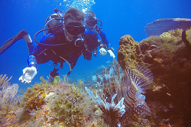 2 Tanks Scuba Diving in Punta Cancun Reefs for Certified Divers - Punta Cancun reef time in 4 hours: why this format works