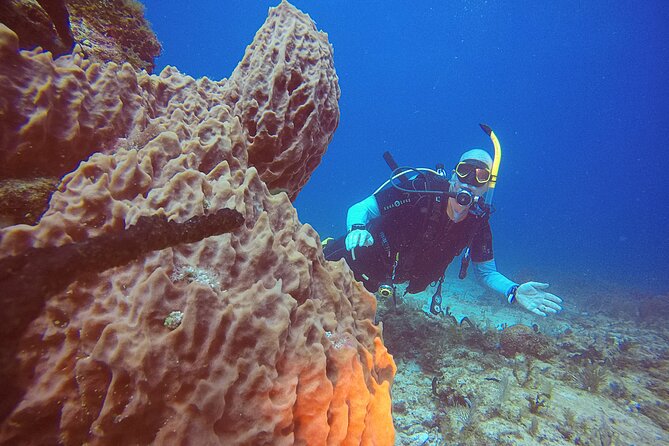 2 Tanks Scuba Diving in Punta Cancun Reefs for Certified Divers - Optional photos and video: spend it only if you want the memories