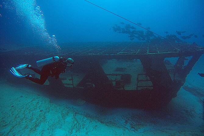 2 Tanks Scuba Diving Wreck and Reef in Cancun for Certified Divers - Why This Two-Tank Wreck and Reef Plan Feels Like Good Value