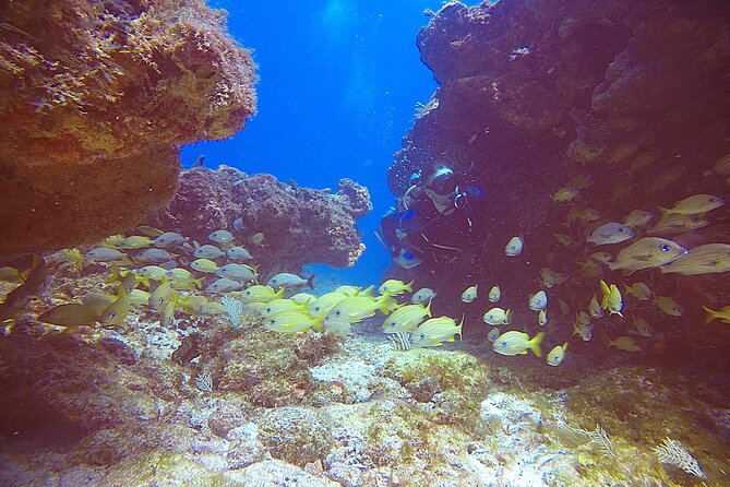 2 Tanks Scuba Diving Wreck and Reef in Cancun for Certified Divers - Gear, Wetsuit, and the Coral Protection Rules