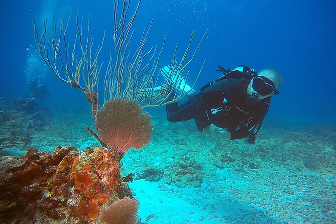 2 Tanks Scuba Diving Wreck and Reef in Cancun for Certified Divers - Small-Group Care: English Support and Comfort Tweaks That Matter