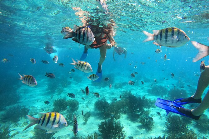 3 Hours VIP Semiprivate Tour Isla Mujeres Full Snorkeling Experience - Key Points to Know Before You Swim