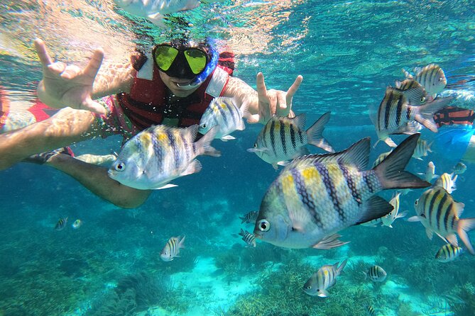 3 Hours VIP Semiprivate Tour Isla Mujeres Full Snorkeling Experience - A Small-Group Isla Mujeres Snorkel That Feels Personal