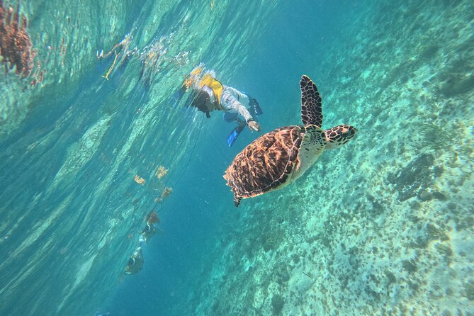 3 in 1 Jungle Speedboat and Snorkeling in Cancun - Getting the most from the boat ride: safety and comfort tips