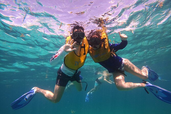 3 in 1 Jungle Tour Adventure Cancun - Price, and the real cost once you arrive