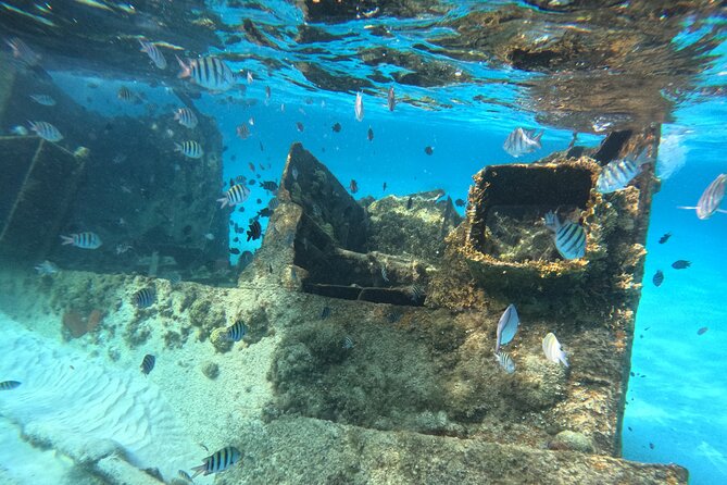 3 in 1 Jungle Tour Adventure Cancun - What’s included on the day, and what you need to bring