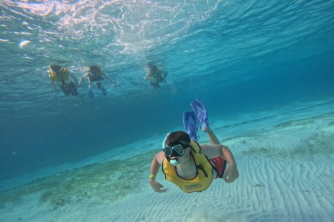 3 in 1 Jungle Tour Adventure Cancun - Duration and group size: why it feels manageable