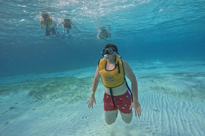 3 in 1 Jungle Tour Adventure Cancun - Snorkeling Cancun reefs, with sea turtles on the radar