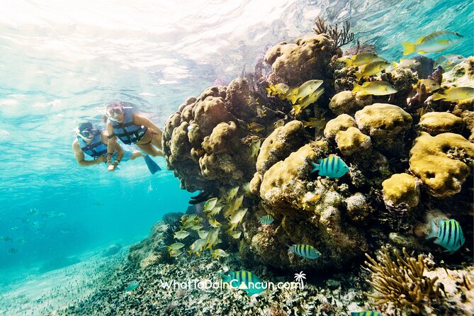 3-in-1 Puerto Morelos: Snorkeling, Tequila & Beachside Lunch - Transport, timing, and the small details that can make or break it