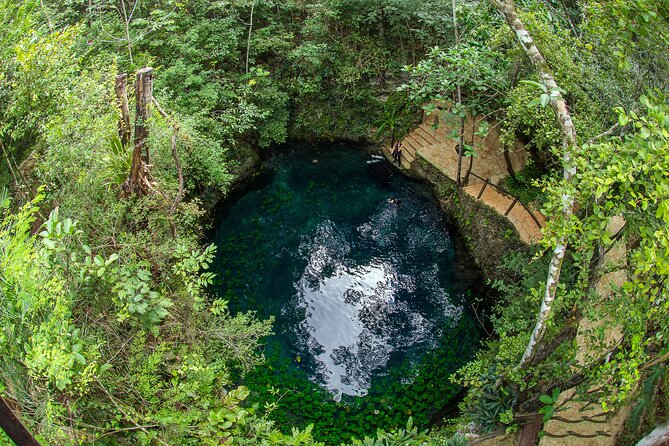 4 best Cenotes Semi-Private Tour - Zipline through the jungle: a 500-meter ride above the treetops