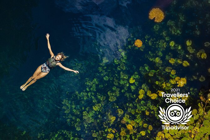 4-in-1 Cenote Tour Guided Experience with Breakfast, Lunch & Wine - Small-group feel, guide energy, and what to watch on transitions