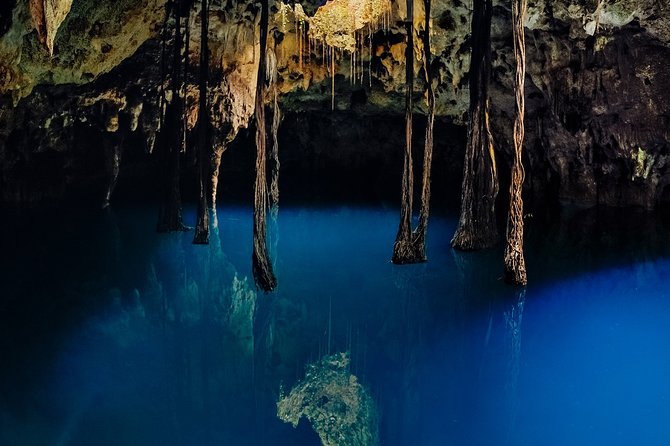 4-in-1 Cenote Tour Guided Experience with Breakfast, Lunch & Wine - Who this cenote adventure suits best, and who should skip it