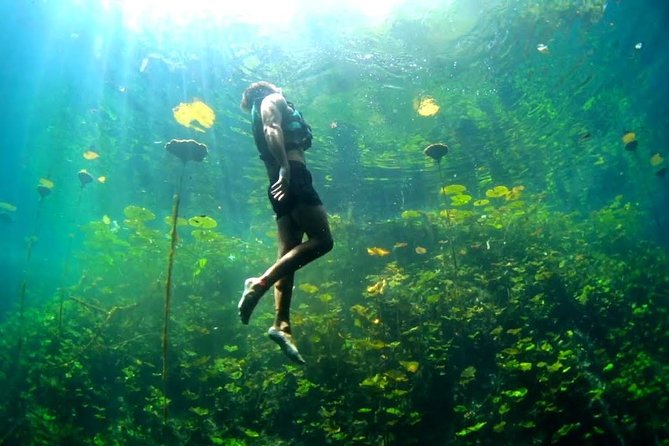 4-in-1 Cenote Tour Guided Experience with Breakfast, Lunch & Wine - Getting ready: water socks, dry clothes, and eco-friendly sunscreen