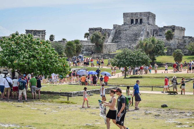 4X1 TOUR Tulum, Coba, Cenote & Playa del Carmen with buffet - Stop 3: Choo-ha cenote swim at Yax-Muul and what to expect in the water