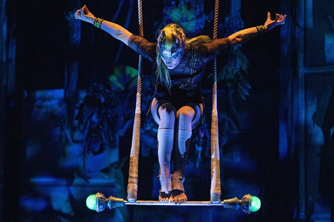 5+ Groups: Hotel Pick up + Cirque du Soleil JOYÀ Tickets - Seating packages and how to choose without overthinking it