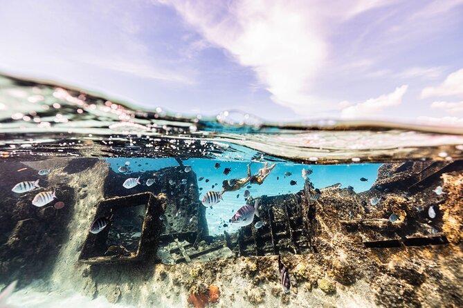 5-in-1 Cancun Snorkeling Tour with Sea Life & Transport Included - Price and Value: What You Pay, What’s Extra, and Why It Works