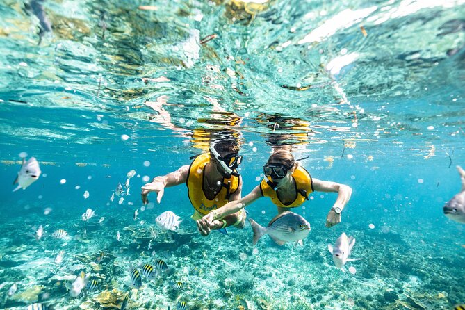 5-in-1 Cancun Snorkeling Tour with Sea Life & Transport Included - Guides, Safety, and the Kind of Attention That Makes Snorkeling Easier