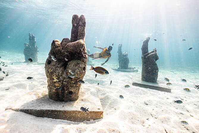 5-in-1 Cancun Snorkeling Tour with Sea Life & Transport Included - Photos, Videos, and the One Area You Should Be Careful With