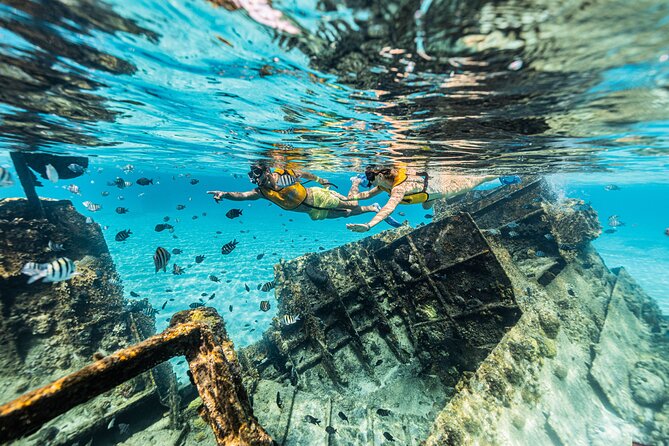 5-in-1 Cancun Snorkeling Tour with Sea Life & Transport Included - What to Bring (and What You Can Skip)