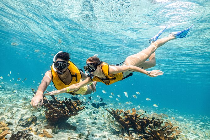 5-in-1 Cancun Snorkeling Tour with Sea Life & Transport Included - Weather Matters More Than You Think