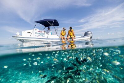 5-in-1 Cancun Snorkeling: Turtles, Reef, Musa, Shipwreck, Cenote