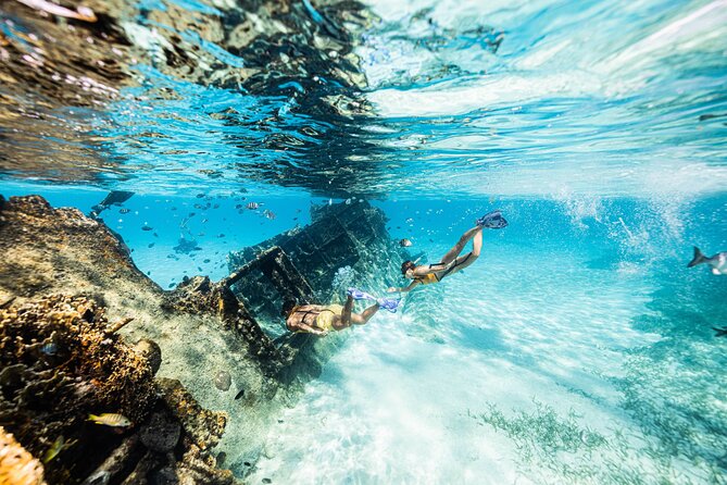 5-in-1 Cancun Snorkeling: Turtles, Reef, Musa, Shipwreck, Cenote - MUSA underwater museum: statues, photos, and why the timing matters