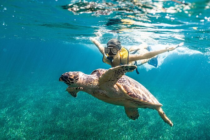 5-in-1 Cancun Snorkeling: Turtles, Reef, Musa, Shipwreck, Cenote - Shipwreck snorkeling: the stop many people talk about later