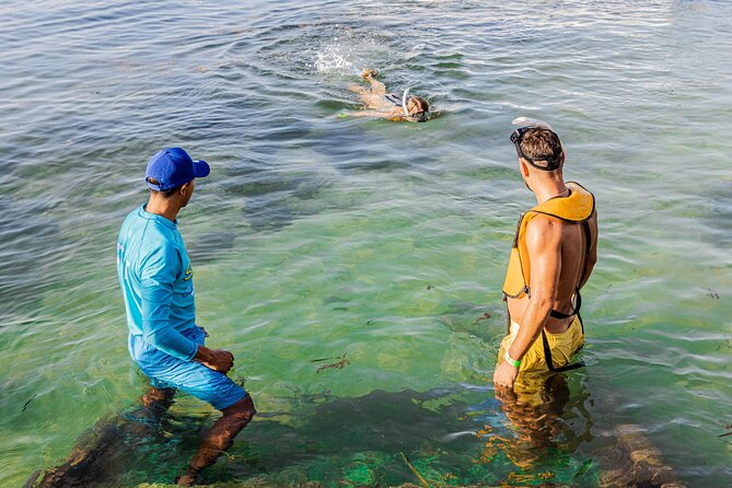 5-in-1 Cancun Snorkeling: Turtles, Reef, Musa, Shipwreck, Cenote - Cenote finale in the Yucatan: a change of scene with mixed opinions