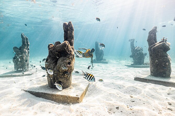 5-in-1 Cancun Snorkeling: Turtles, Reef, Musa, Shipwreck, Cenote - Crew, boat comfort, and the real deal on photos