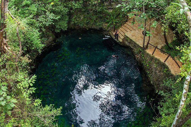 Admission Ticket to Cenotes Zapote EcoPark - Snorkeling in Cenote Zapote: what you’ll actually see underwater