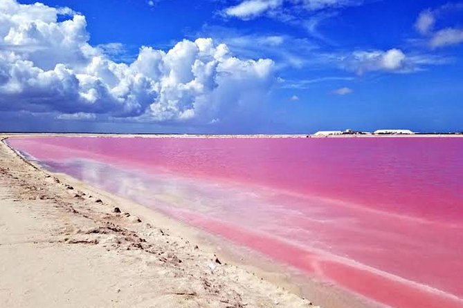 Adventour Day: Coloradas and Rio Lagartos Excursion from Cancun! - Timestamps, pickup points, and why the morning feels early