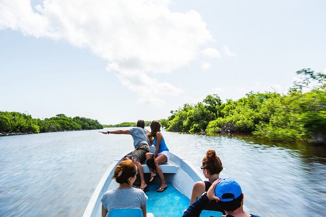 Adventour Day: Coloradas and Rio Lagartos Excursion from Cancun! - Las Coloradas: what the pink lake stop is really about