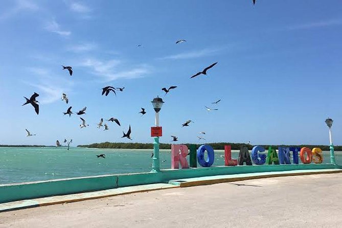 Adventour Day: Coloradas and Rio Lagartos Excursion from Cancun! - Rio Lagartos Biosphere Reserve: the wetlands part of the day