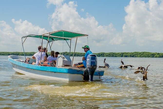 Adventour Day: Coloradas and Rio Lagartos Excursion from Cancun! - Food breaks that keep a long day from feeling miserable