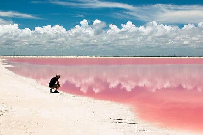 Adventour Day: Coloradas and Rio Lagartos Excursion from Cancun! - The value question: $135, plus one fee you should expect