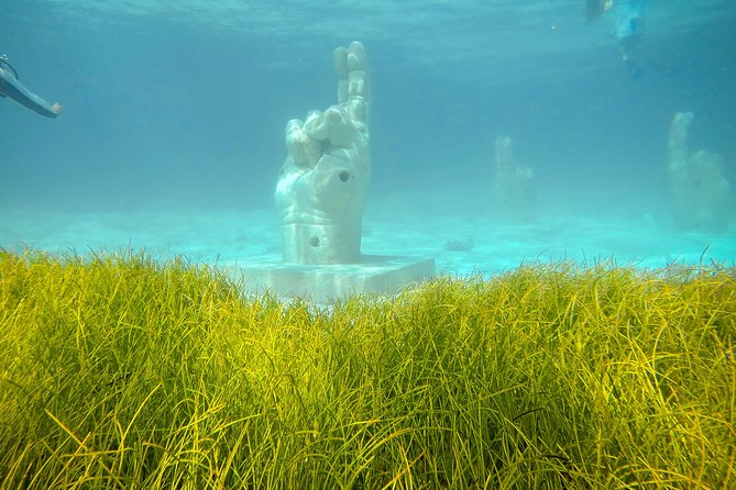 Afternoon Half-Day Catmaran Sailing and Snorkel Adventure - Should you book this half-day Cancun and Isla Mujeres catamaran?