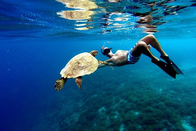 Akumal paradise tour Swimming with Turtles & ancient Tulum Ruins. Lunch included - Key things I’d plan for on this Akumal, Tulum, and Cenote day