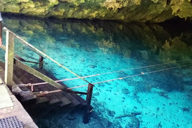 Akumal paradise tour Swimming with Turtles & ancient Tulum Ruins. Lunch included - Price and value, what you’re really paying for