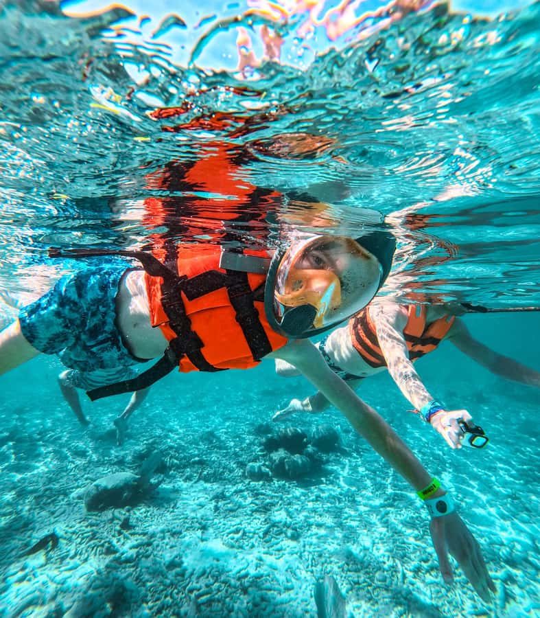 Akumal: Sea Turtles Snorkeling Tour with Park Entry Fee - Key highlights to know before you go