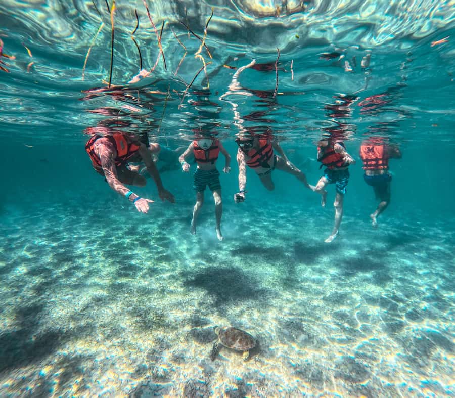 Akumal: Sea Turtles Snorkeling Tour with Park Entry Fee - Where the Experience Starts, Tsuuk Akumal Natural Park with Real Facilities